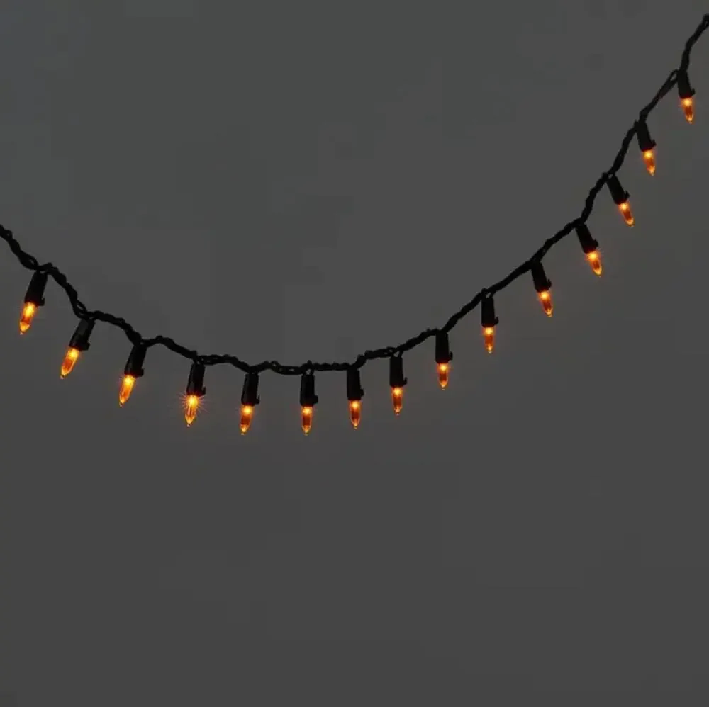 Hyde and Eek Mini LED Orange String Lights NEW
